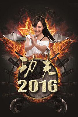 功夫2016 