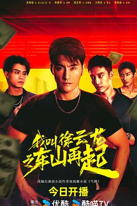 我叫徐云龙之东山再起 